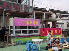 -小鱼草莓采摘园农家乐·小鱼餐厅