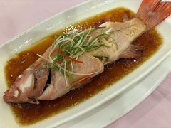 -顺风海鲜港(金玉兰店)