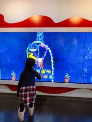 -北京科学中心儿童乐园