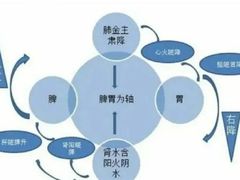 -裕和堂中医推拿艾灸(太古汇臻品店)