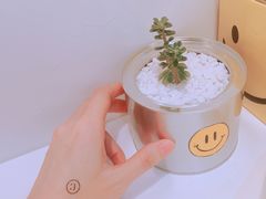 -一粒糖 · 潮汕小吃-海石花特色甜品