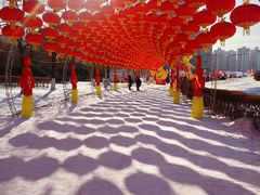 -沈阳奥体冰雪嘉年华