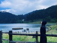 -武陵山森林公园