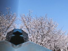 -龙美术馆西岸馆-停车场