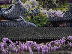 -老门东历史文化街区