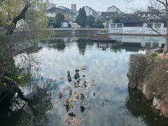 -水绘园