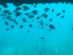 -亚龙湾海底世界