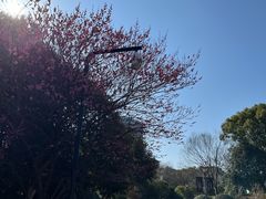 -杭州城北体育公园