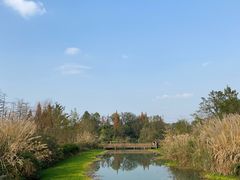 -桤木河湿地公园