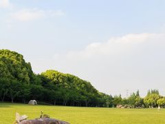 -昆山城市生态森林公园