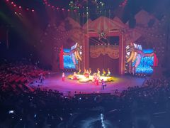 -珠海横琴长隆《卡卡虎奇遇记》