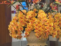 -太平洋PACIFIC SPA•奢睿水疗(万象城店)