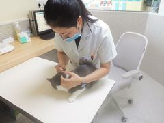-谐和贝康宠物医院24小时·宠保定点(急重症转诊中心)