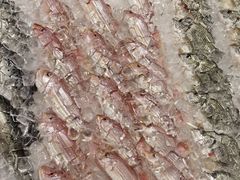 -AEON永旺(东方宝泰店)