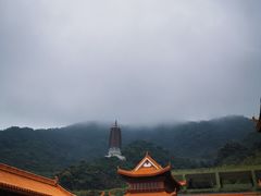 -深圳仙湖植物园