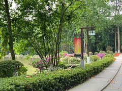 -邓小平故里