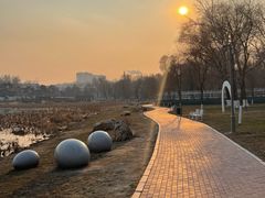 -长春市南湖公园