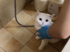 -佳雯宠物医院·皮肤科·内外科(春晓路分院)