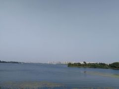-丁香湖公园
