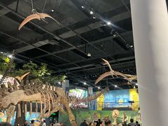 -国家自然博物馆