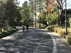 -春暖花开(西溪店)