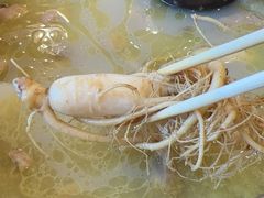 -朴小妹人参鸡汤火锅(长白山万达店)