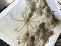 iphone_upload_pic-西门岛码头海鲜馆