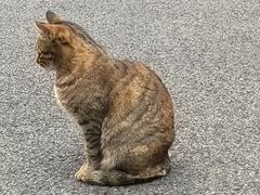 -滋味园(勒流店)