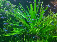 -上海海洋水族馆