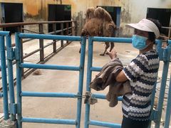 -祥源·阜阳生态乐园