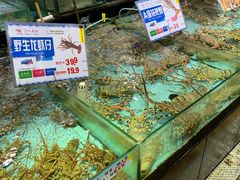 水产区-渔民新村(番禺总店)