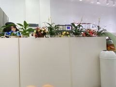 -炅爸爸鲜奶茶(解放西店)