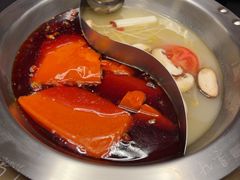 -蜀九香火锅(彩虹店)