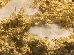 -安徽省地质博物馆