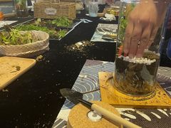 -奔驰上海利星(七宝店)