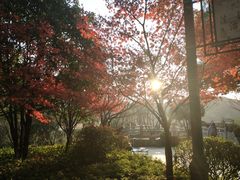 -杭州半山国家森林公园