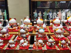 -猫咪博物馆(顶澳仔猫街店)