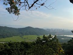 -风云岭森林公园