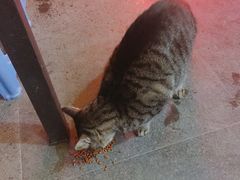 -螺大蛳柳州螺蛳粉·火锅·热干面(西城永捷店)