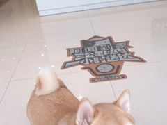 -美联众合24小时·皮肤科·外科·全科诊疗中心(华苑分院)