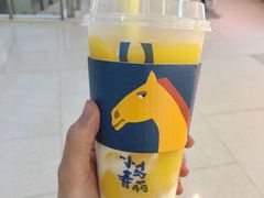 -春丽小马(济南恒隆广场店)