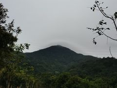 -梧桐山风景名胜区