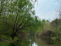 -溱湖国家湿地公园