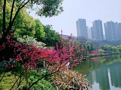 -重庆彩云湖湿地公园