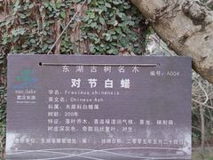 -东湖落雁景区