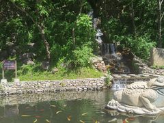 -大连天门山国家森林公园