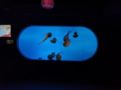 -太平洋海底世界