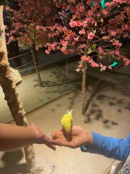 -酷嗒动物文化乐园(cutezoo西溪乐天城店)