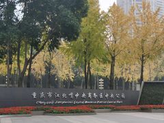 -重庆市江北嘴中央商务区中央公园