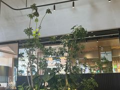-gaga(深圳福田星河COCO Park店)